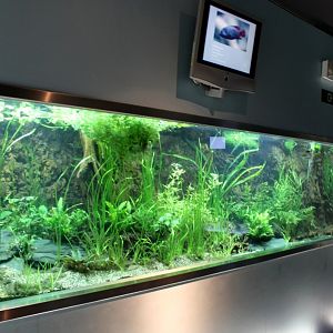 ZOO Antwerpen - Aquarium (Amazon)