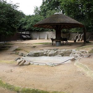 ZOO Antwerpen - Reindeer exhibit