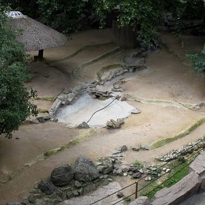 ZOO Antwerpen - Reindeer exhibit