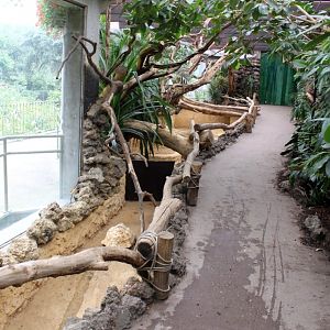 ZOO Antwerpen - Reptile House (Walkthrough exhibit)