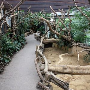 ZOO Antwerpen - Reptile House (Walkthrough exhibit)