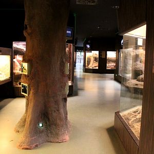 ZOO Antwerpen - Reptile House