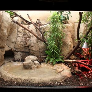 ZOO Antwerpen - Reptile House (Green anaconda)