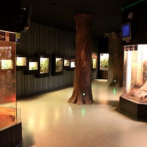 ZOO Antwerpen - Reptile House