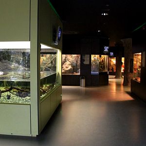 ZOO Antwerpen - Reptile House