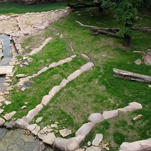 ZOO Antwerpen - Great Plains (Lion)