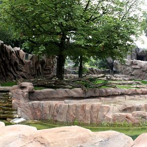 ZOO Antwerpen - Great Plains (Lion)