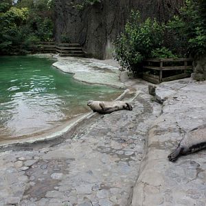 ZOO Antwerpen - Seal exhibit