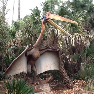 Dinosaurs Living or Dead- Quetzalcoatlus