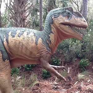 Dinosaurs Living or Dead- Allosaurus