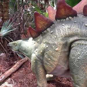 Dinosaurs Living or Dead- Stegosaurus