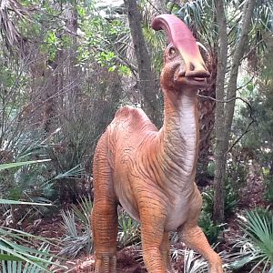 Dinosaurs Living or Dead- Parasaurolophus