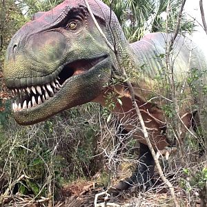 Dinosaurs Living or Dead- Tyrannosaurus