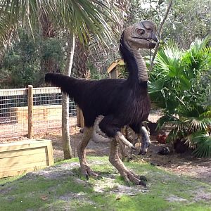 Dinosaurs Living or Dead- Citipati & Chickens