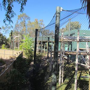 Orang Hutan: People of the Forest