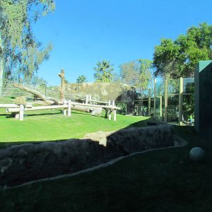 Orang Hutan: People of the Forest