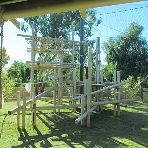 Orang Hutan: People of the Forest