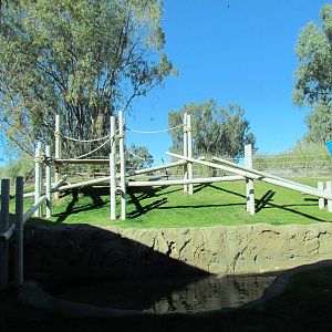 Orang Hutan: People of the Forest