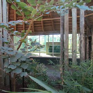 Orang Hutan: People of the Forest