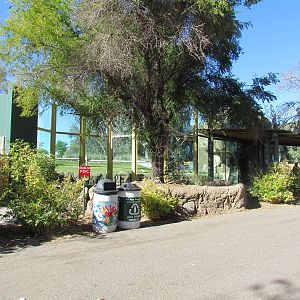 Orang Hutan: People of the Forest