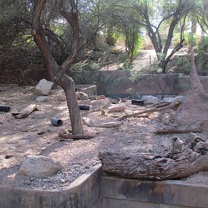 Africa Trail - Meerkat Exhibit