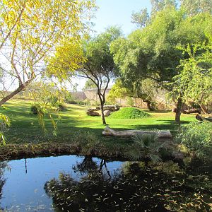 Africa Trail - Cheetah Exhibit