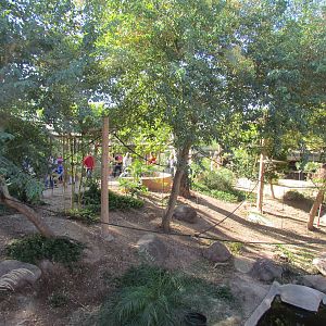 Tropics Trail - Monkey Village