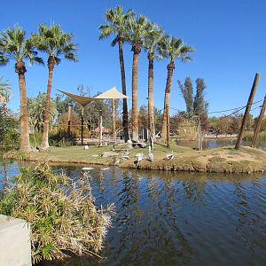 Tropics Trail - Gibbon Island