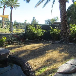 Tropics Trail - Land of the Dragons