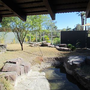 Tropics Trail - Land of the Dragons