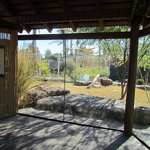 Tropics Trail - Land of the Dragons