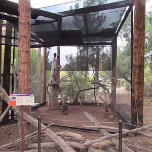 Arizona Trail - Great Horned Owl Exhibit