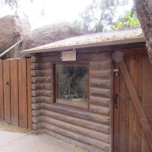 Arizona Trail - Kingsnake Exhibit