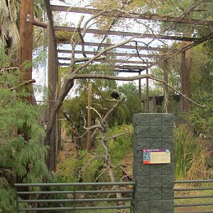 Arizona Trail - Andean Condor Exhibit
