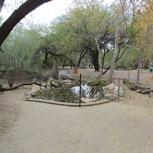 Arizona Trail - Pupfish Spring