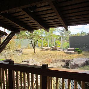 Tropics Trail - Land of the Dragons