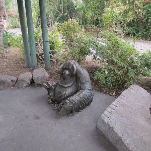 Tropics Trail - Orang Hutan: People of the Forest