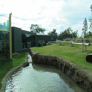 Tropics Trail - Orang Hutan: People of the Forest