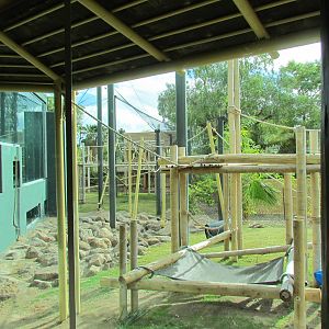 Tropics Trail - Orang Hutan: People of the Forest