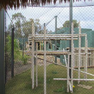 Tropics Trail - Orang Hutan: People of the Forest