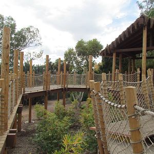 Tropics Trail - Orang Hutan: People of the Forest