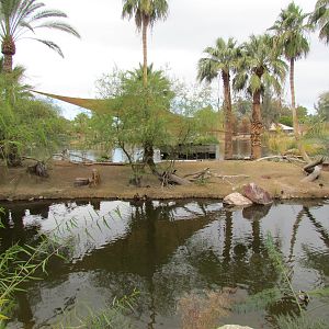 Africa Trail - Red Ruffed Lemur Exhibit