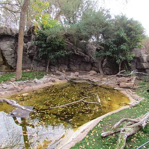 Africa Trail - Spotted-necked Otter Exhibit