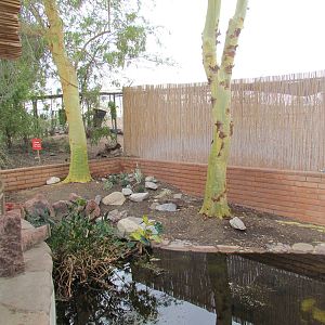 Africa Trail - Desert Pupfish Pond