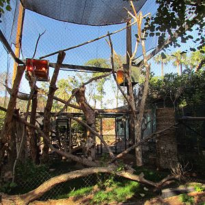 Tropics Trail - Black Howler Monkey Exhibit