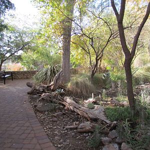 Tropics Trail - Path