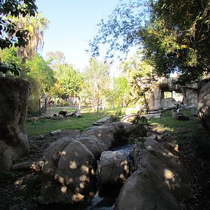 Tropics Trail - Andean Bear Exhibit