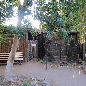 Tropics Trail - Golden Lion Tamarin Exhibit