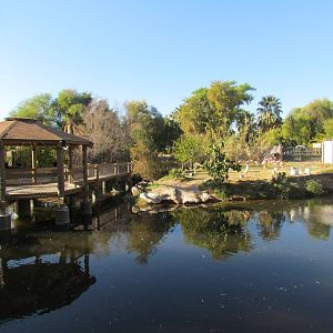 Tropics Trail - Wetlands
