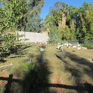 Tropics Trail - Wetlands